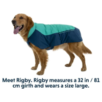 Ruffwear Vert Dog Jacket - Aurora Teal
