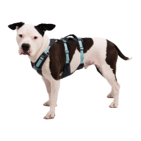 Ruffwear Flagline Dog Harness with Handle - Basalt Grey