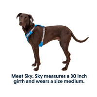 Ruffwear Hi & Light Lightweight Dog Harness - Blue Dusk