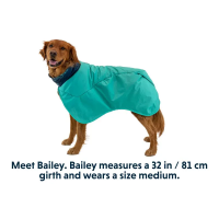 Ruffwear Dirtbag Dog Drying Towel - Aurora Teal
