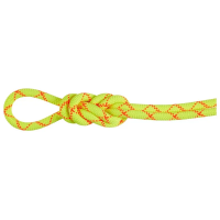 Mammut 9.5 Alpine Core Protect Dry Rope - Halo Vibrant Orange