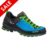 Salewa Mountain Trainer 2 GTX Men's