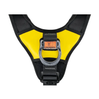 Petzl Astro Bod Fast - International Version