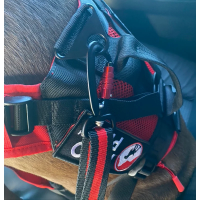 Fido Pro Seat Belt