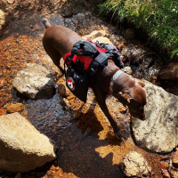 Fido Pro Saddle Dry-Bags