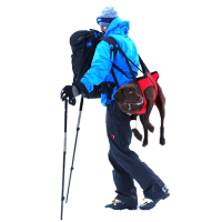 Fido Pro The Airlift