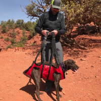Fido Pro The Airlift