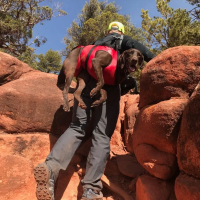 Fido Pro The Airlift