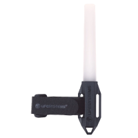 Life Systems Intensity Marker