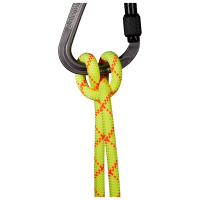 Mammut 9.5 Alpine Core Protect Dry Rope