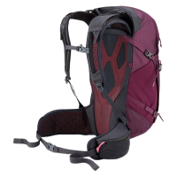 Rab Protium 25 ND - Mulberry