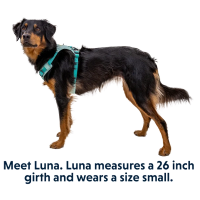 Ruffwear Hi & Light Lightweight Dog Harness - Sage Green