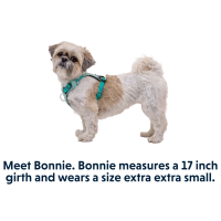 Ruffwear Hi & Light Lightweight Dog Harness - Sage Green