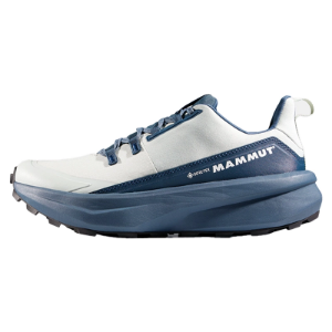 Aenergy Hike Low GTX Women - Silver Sage-Dark Strata